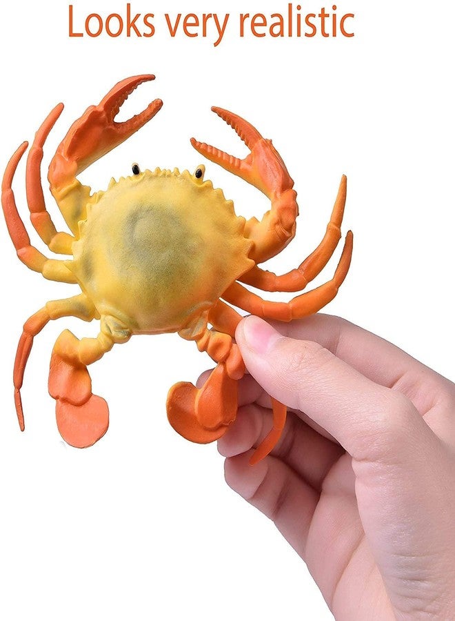 Mallexo مجموعة حيوانات بحرية متوسطة الحجم من ماليكسو، ألعاب مائية تعليمية للأطفال، تتضمن 11 قطعة من أسماك وحيوانات بحرية، مناسبة للأولاد والبنات، مع سلحفاة وقنديل بحر وأخطبوط. - Image 4